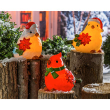 Load image into Gallery viewer, LED Portly Holiday Bird Decor, 3 Styles