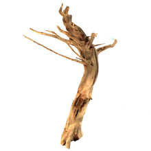 Load image into Gallery viewer, Manzanita Wood, for Nano Tanks, Up to 24in