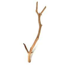 Load image into Gallery viewer, Manzanita Wood, for Nano Tanks, Up to 24in