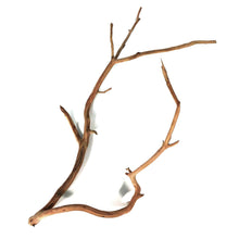Load image into Gallery viewer, Manzanita Wood, for Nano Tanks, Up to 24in
