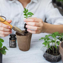 Load image into Gallery viewer, PRO-MIX Stim-Root Rooting Powder