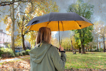 Load image into Gallery viewer, Black & Gold Travel Umbrella