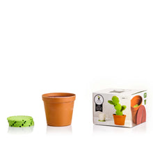 Load image into Gallery viewer, Interlocking Cactus Coasters, Set of 6