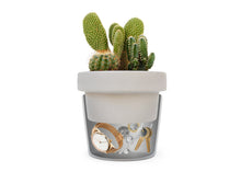 Load image into Gallery viewer, Plant Pot Hideaway Storage Container