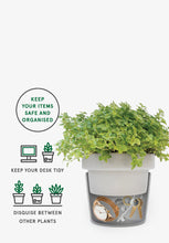 Load image into Gallery viewer, Plant Pot Hideaway Storage Container