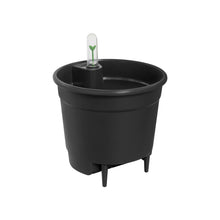 Load image into Gallery viewer, Self-Watering Pot Insert, 6in, Black