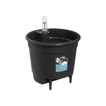 Load image into Gallery viewer, Self-Watering Pot Insert, 6in, Black