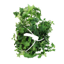 Load image into Gallery viewer, Ivy, 7.5in Hanging Basket, German Green