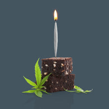 Load image into Gallery viewer, Lit Birthday Candles, Joints, S/8