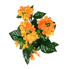 Load image into Gallery viewer, Crossandra, 4in, Firecracker Flower