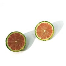 Load image into Gallery viewer, Lemon, 3 Gal, Ponderosa
