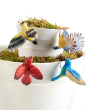 Load image into Gallery viewer, Bird in Flight Pot Hugger, 4 Assorted
