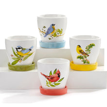 Load image into Gallery viewer, Pot, 3in, Ceramic, Watercolor Bird with Saucer