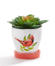 Load image into Gallery viewer, Pot, 3in, Ceramic, Watercolor Bird with Saucer