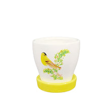Load image into Gallery viewer, Pot, 3in, Ceramic, Watercolor Bird with Saucer