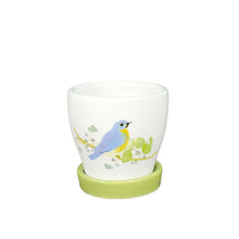 Load image into Gallery viewer, Pot, 3in, Ceramic, Watercolor Bird with Saucer