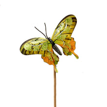 Load image into Gallery viewer, Botanica Flying Butterfly Plant Pick, 6 Styles