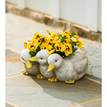 Load image into Gallery viewer, Planter, Resin, Duckling Triplets