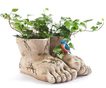 Load image into Gallery viewer, Planter, Oversized Feet with Bird