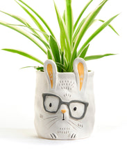 Load image into Gallery viewer, Pot, 3in, Ceramic, Dexter the Bunny with Glasses