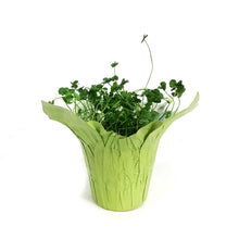 Load image into Gallery viewer, Trifolium 4 Luck® Green Glow
