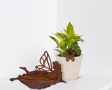 Load image into Gallery viewer, Flying Butterfly Metal Pot Hanger, 2.5in
