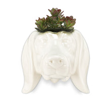 Load image into Gallery viewer, Pot, 1.5in, Ceramic, Dachshund Head Wall Planter