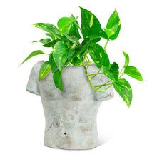 Load image into Gallery viewer, Planter, Cement, Male Torso Sculpture