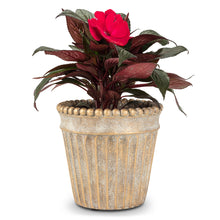 Load image into Gallery viewer, Pot, 5in, Cement, Metallic Gold Ball Taper