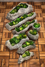 Load image into Gallery viewer, Planter, 12in, Cement, Slim Faux Log