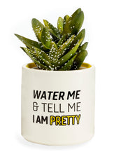 Load image into Gallery viewer, Pot, 3in, Ceramic, Water Me & Tell Me I'm Pretty