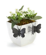 Load image into Gallery viewer, Brown Butterfly Pot Hugger, 2 Assorted