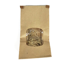 Load image into Gallery viewer, Ladybugs, Hippodamia convergens, 250ct. Bag