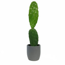 Load image into Gallery viewer, Cactus, 9cm, O. Basilaris 'Beavertail' in Ceramic