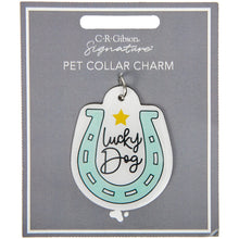 Load image into Gallery viewer, Lucky Dog Pet Collar Charm