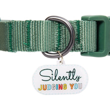 Load image into Gallery viewer, Silently Judging You Pet Collar Charm