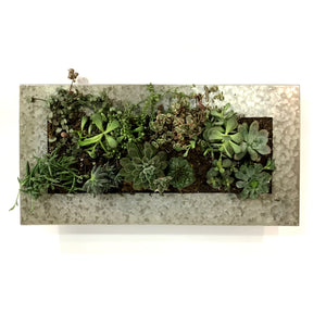 Succulent Wall Planter, 12 Pockets