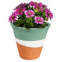 Load image into Gallery viewer, Pot, 6in, Terracotta, Painted Tranquil Colours