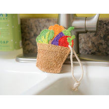 Load image into Gallery viewer, Reuseit Scrubber, Farm Icons, 6 Assorted