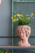 Load image into Gallery viewer, Pot, 4in, Cement, Terracotta Goddess Head