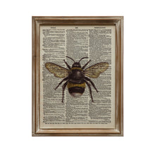 Load image into Gallery viewer, Wood Framed Bee Book Print Wall Art, 2 Styles