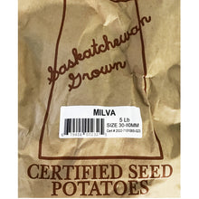 Load image into Gallery viewer, Seed Potato - Milva, 5lb Bag