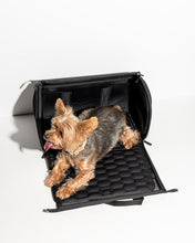 Load image into Gallery viewer, Wild One Air Travel Carrier, One Size, Black