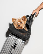 Load image into Gallery viewer, Wild One Air Travel Carrier, One Size, Black