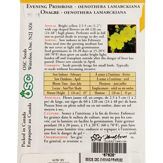 Evening Primrose Seeds, OSC