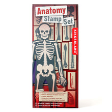 Load image into Gallery viewer, Anatomy Stamps Set