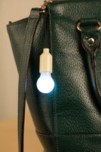 Load image into Gallery viewer, Mini Pull Light, 3 Styles