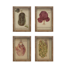 Load image into Gallery viewer, Framed Vintage Vegetable Print Wall Art, 4 Styles