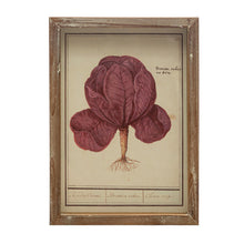 Load image into Gallery viewer, Framed Vintage Vegetable Print Wall Art, 4 Styles