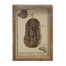 Load image into Gallery viewer, Framed Vintage Vegetable Print Wall Art, 4 Styles
